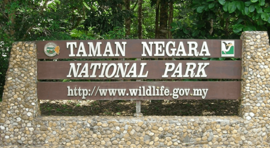 Công viên Taman Negara